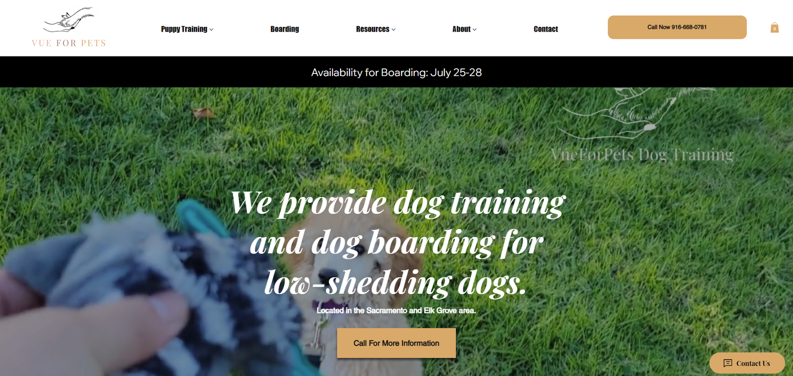 Vue For Pets Website